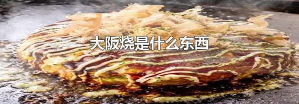 大阪烧是什么东西