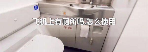 飞机上有厕所吗,怎么使用