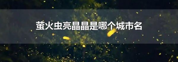萤火虫亮晶晶是哪个城市名