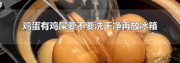 鸡蛋有鸡屎要不要洗干净再放冰箱
