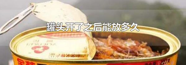 罐头开了之后能放多久