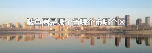 鲅鱼圈是哪个省哪个市哪个区