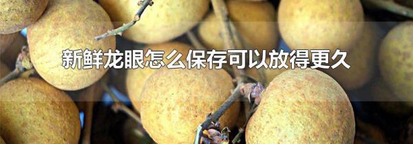 新鲜龙眼怎么保存可以放得更久