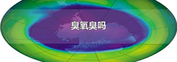 臭氧臭吗