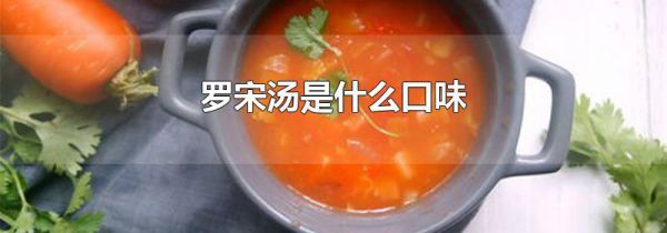 罗宋汤是什么口味