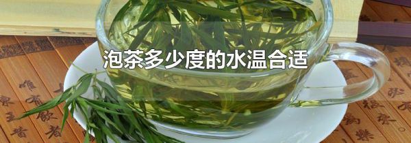 泡茶多少度的水温合适