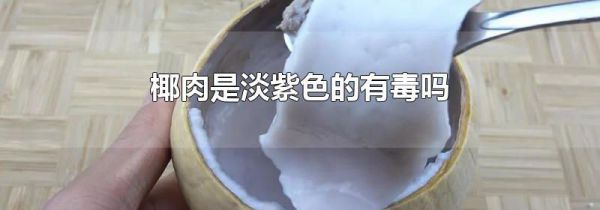椰肉是淡紫色的有毒吗