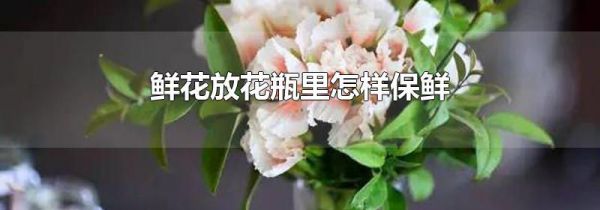 鲜花放花瓶里怎样保鲜