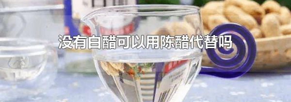 没有白醋可以用陈醋代替吗