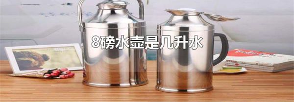 8磅水壶是几升水