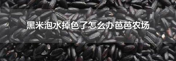 黑米泡水掉色了怎么办芭芭农场