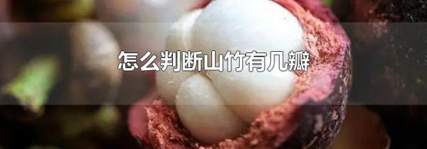 怎么判断山竹有几瓣
