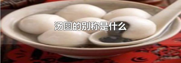 汤圆的别称是什么