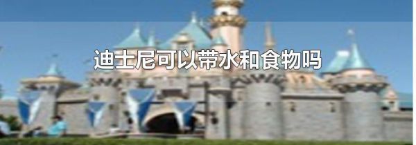 迪士尼可以带水和食物吗