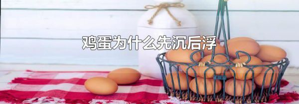 鸡蛋为什么先沉后浮