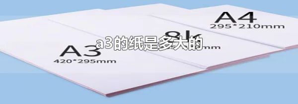 a3的纸是多大的