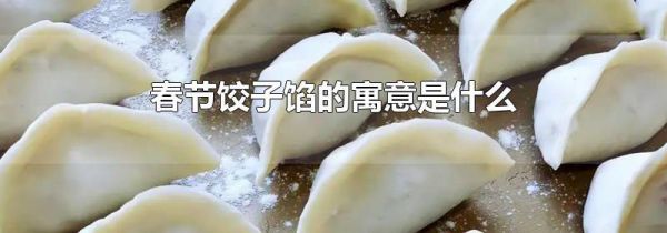 春节饺子馅的寓意是什么