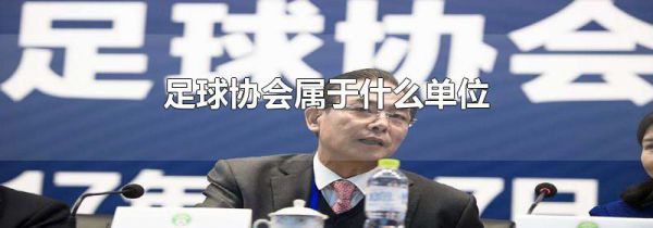 足球协会属于什么单位