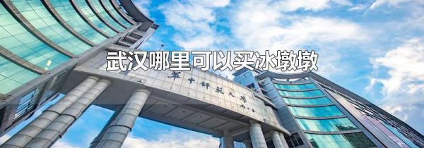 武汉哪里可以买冰墩墩