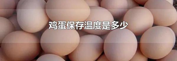 鸡蛋保存温度是多少
