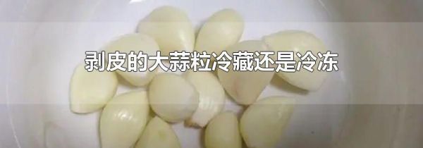 剥皮的大蒜粒冷藏还是冷冻