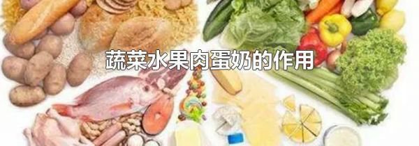 蔬菜水果肉蛋奶的作用