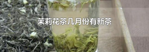 茉莉花茶几月份有新茶