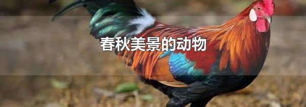 春秋美景的动物