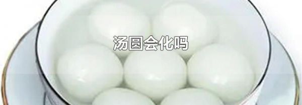汤圆会化吗