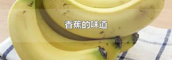 香蕉的味道