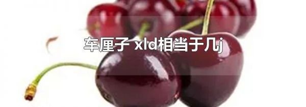 车厘子 xld相当于几j