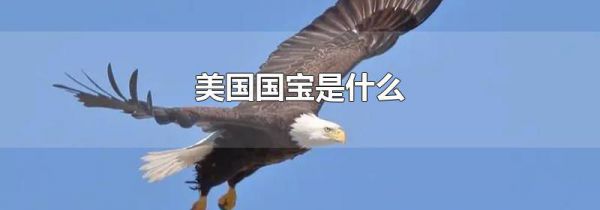 美国国宝是什么