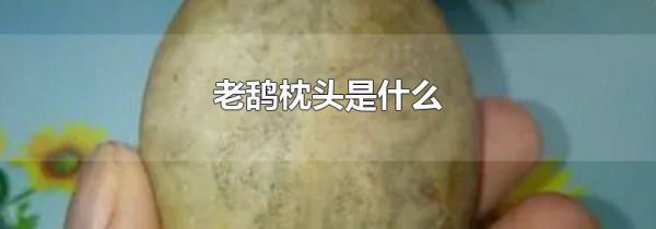 老鸹枕头是什么