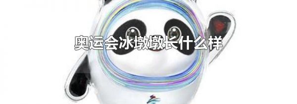奥运会冰墩墩长什么样
