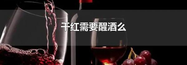 干红需要醒酒么