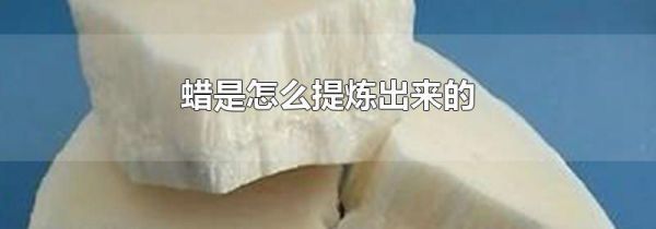 蜡是怎么提炼出来的
