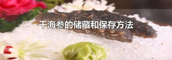 干海参的储藏和保存方法