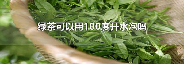 绿茶可以用100度开水泡吗