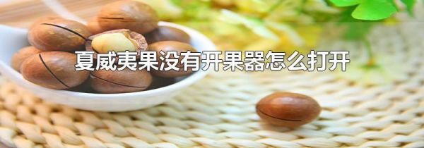 夏威夷果没有开果器怎么打开