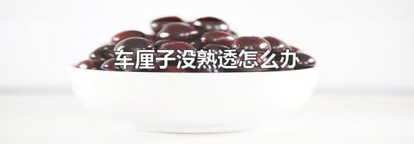 车厘子没熟透怎么办