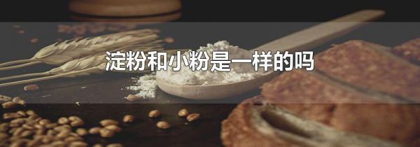 淀粉和小粉是一样的吗