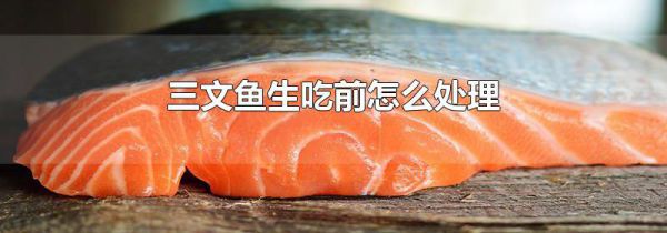 三文鱼生吃前怎么处理