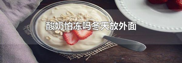 酸奶怕冻吗冬天放外面