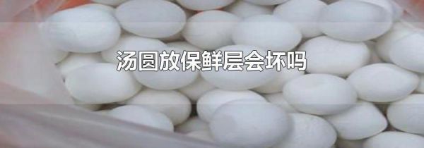 汤圆放保鲜层会坏吗