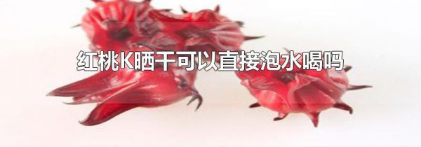 红桃K晒干可以直接泡水喝吗