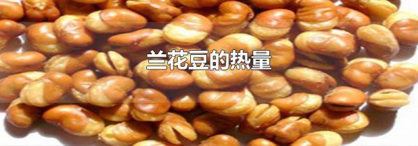 兰花豆的热量