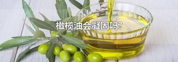 橄榄油会凝固吗?