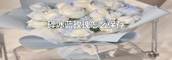 碎冰蓝玫瑰怎么保存