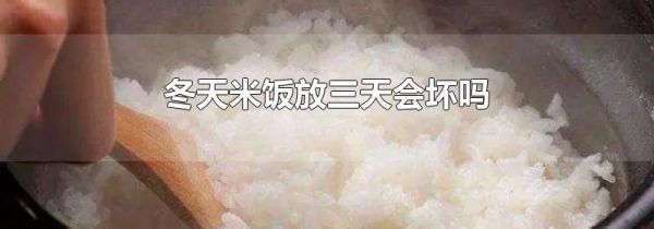 冬天米饭放三天会坏吗