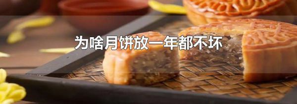 为啥月饼放一年都不坏